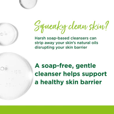 Refreshing Facial Wash + Cleansing Wipes