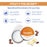 Vaseline Lip Tins Cocoa Butter, 17g | Infused with Cocoa Butter for Hydration & Glossy Shine